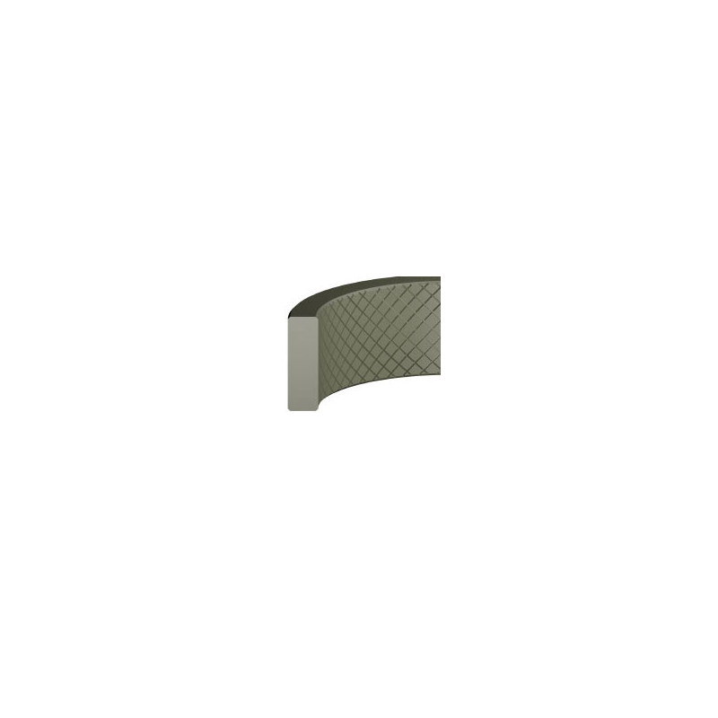 Junta GS-10 PTFE  x